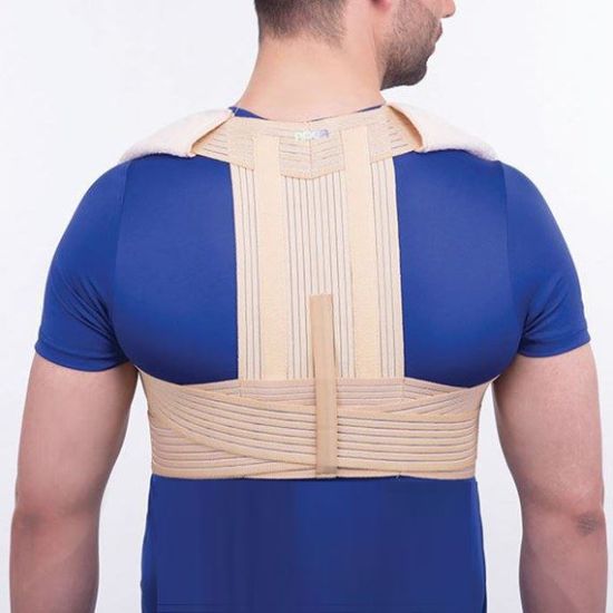 تصویر قوزبند پل دار الاستيک صادراتي پل دار آدور